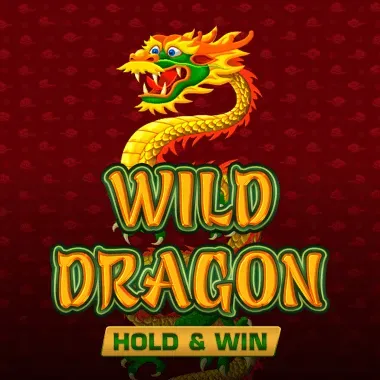 Wild Dragon